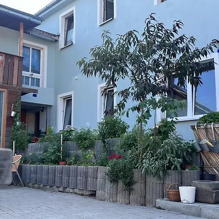 Rim In 1 Og 100 Qm * Lauchhammer