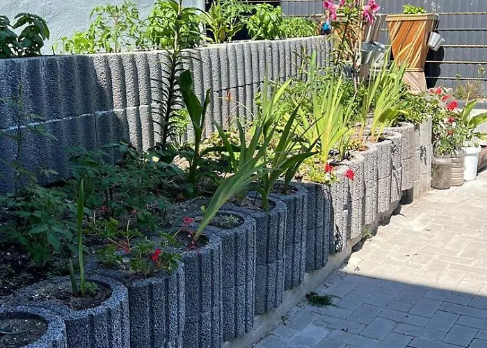 Rim In 1 Og 100 Qm *